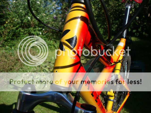 DSC09332_zpsqy8vinar.jpg