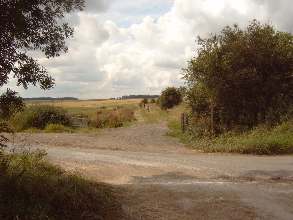 IMG00444.jpg