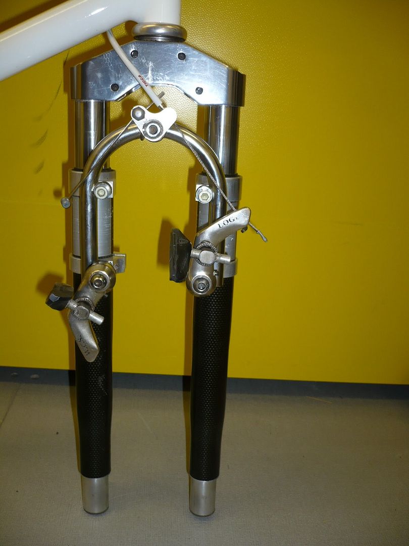 P1010341.jpg