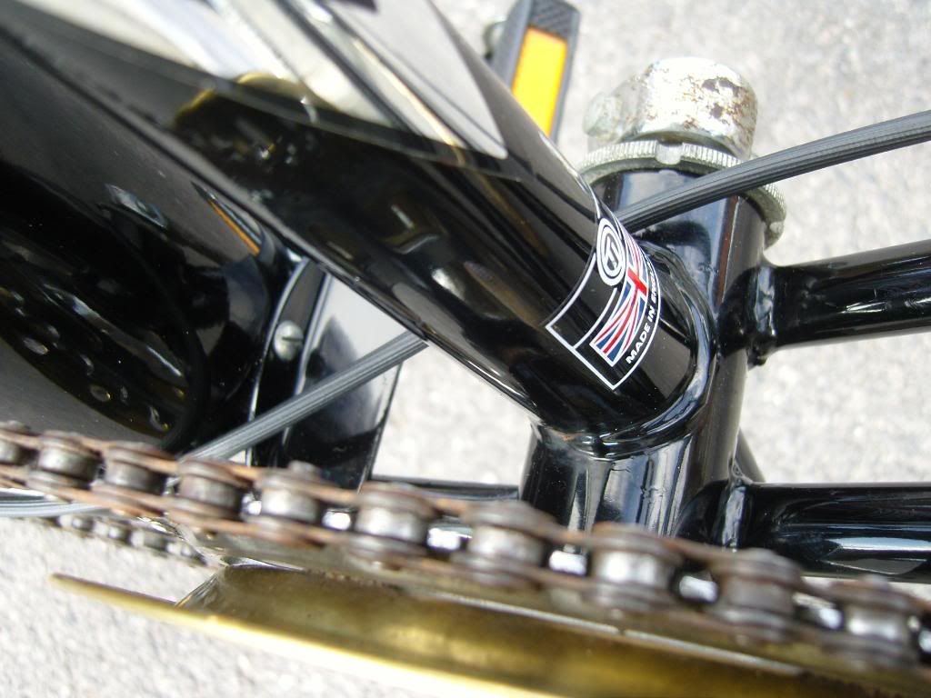 SNC13952.jpg