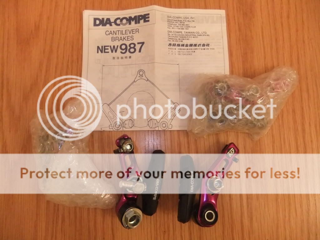 DSCF3551.jpg
