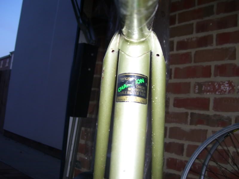000_0358.jpg