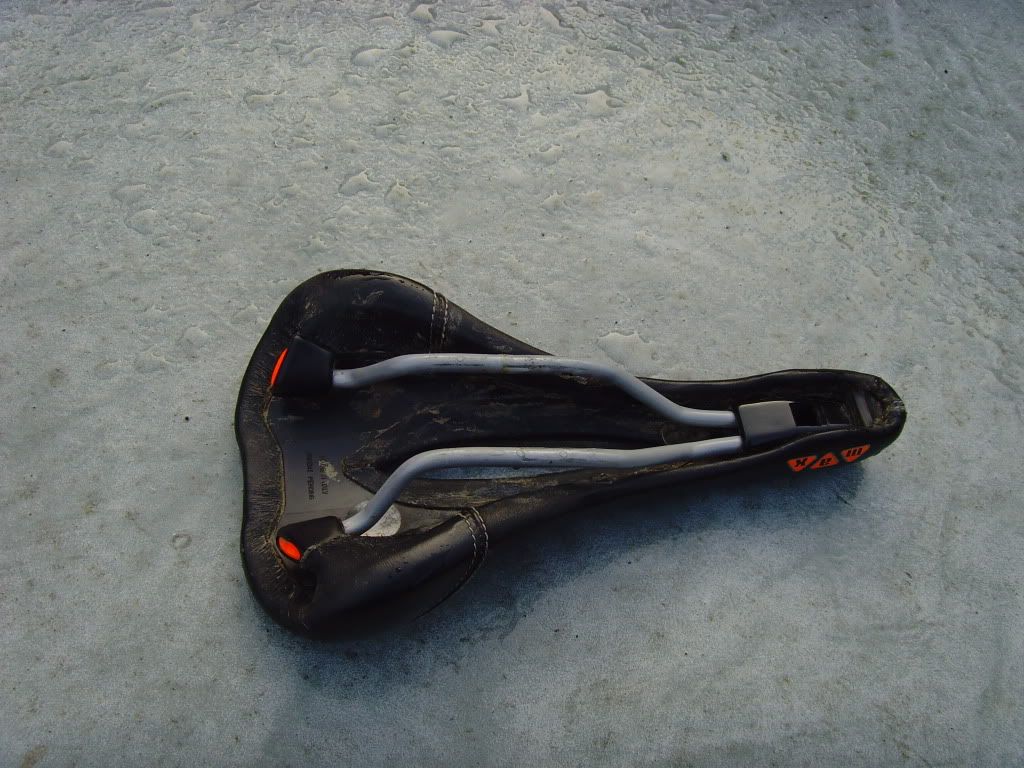 SNV36314.jpg