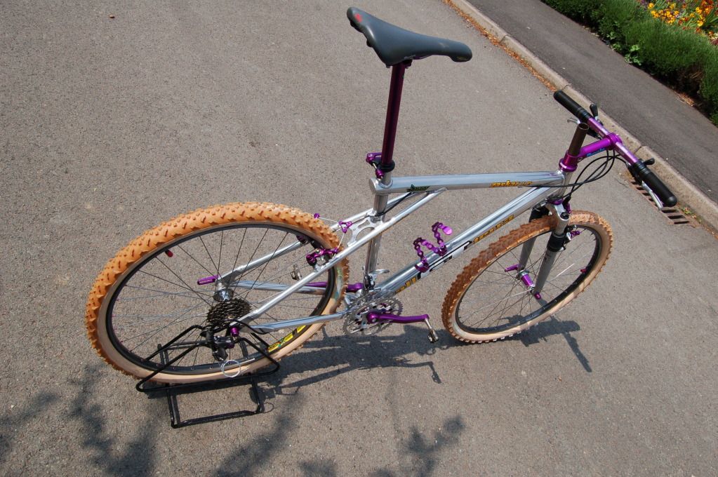Zaskar_purp020.jpg