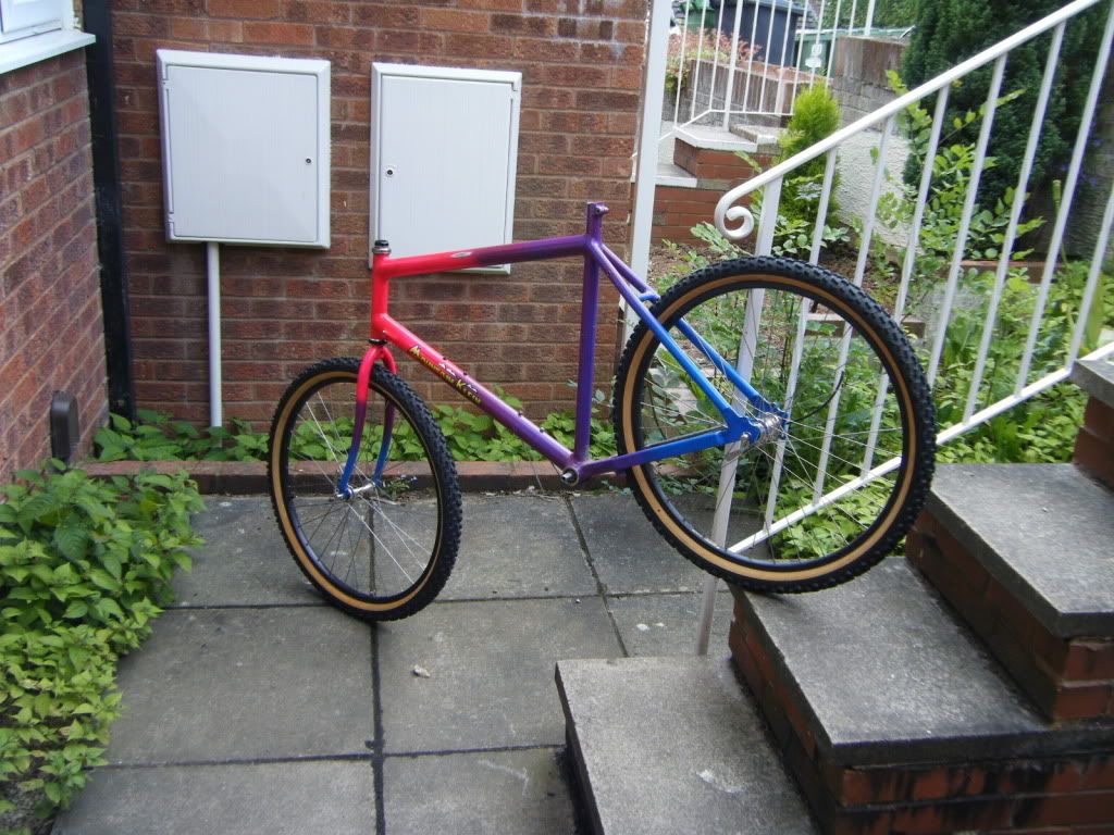 dscf3195.jpg