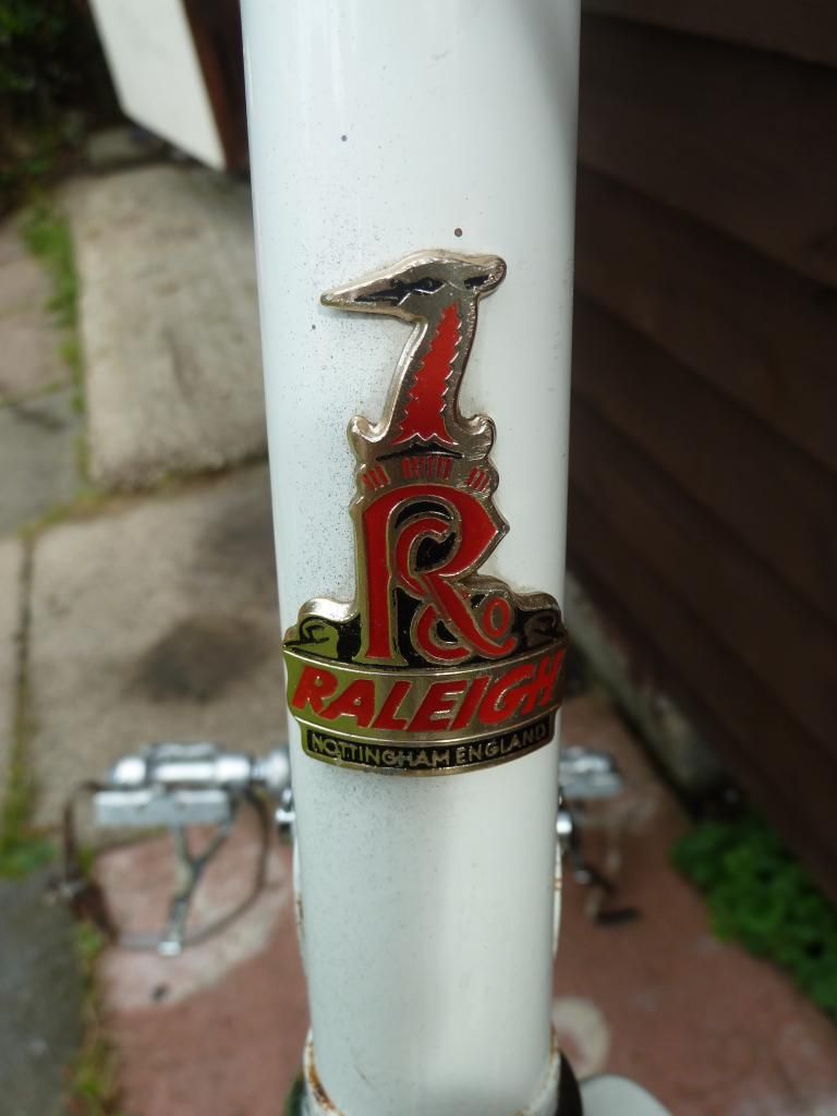 raleigh009.jpg