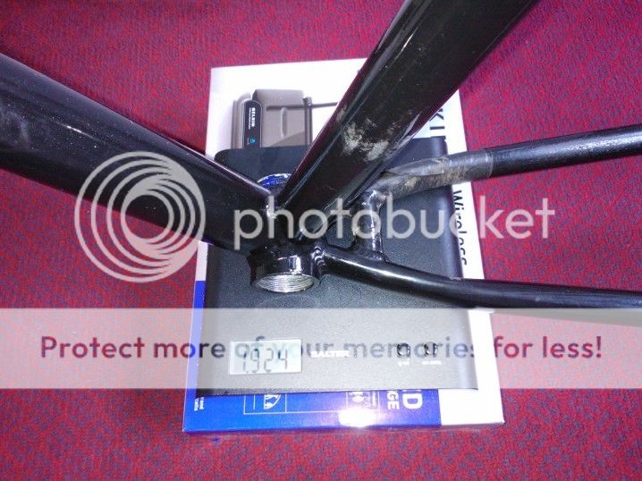 WP_000189.jpg