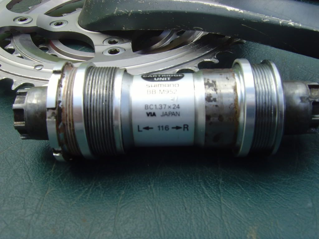 SNV34396.jpg