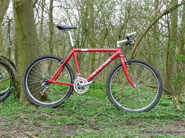 Cannondale3.jpg