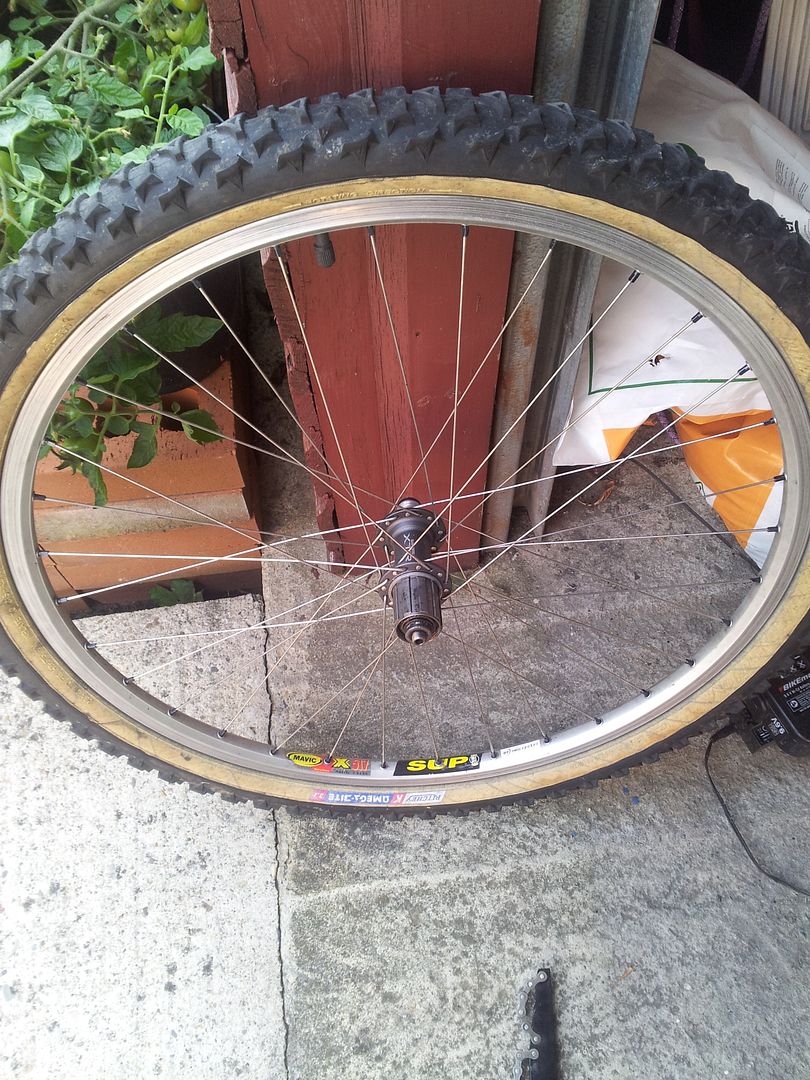 20120806_183731.jpg