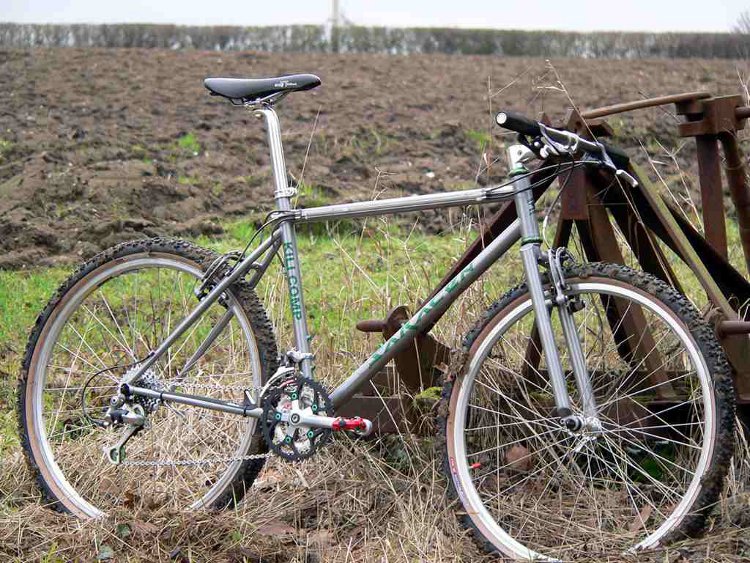 20110302botmmar201103dendysaracen.jpg