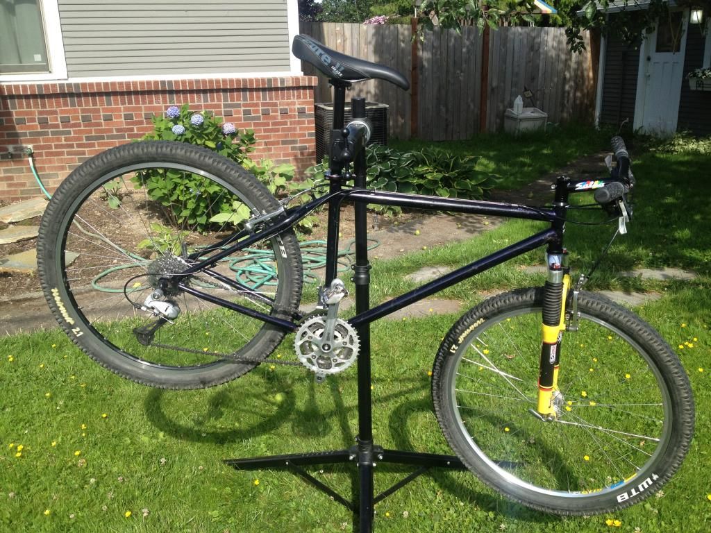 bonty14_zpsa8dba56c.jpg