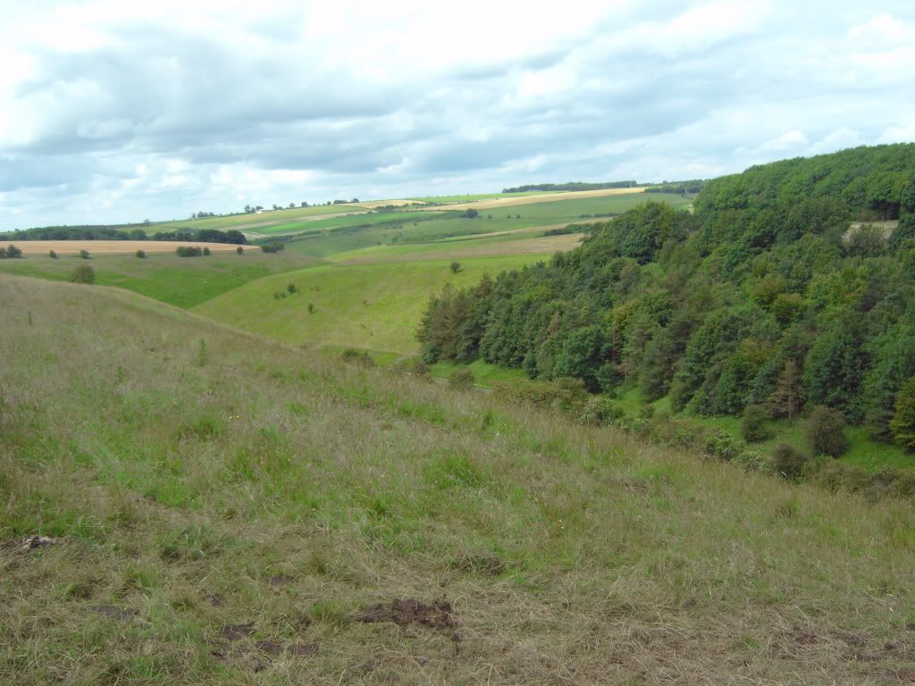 IMG00420.jpg
