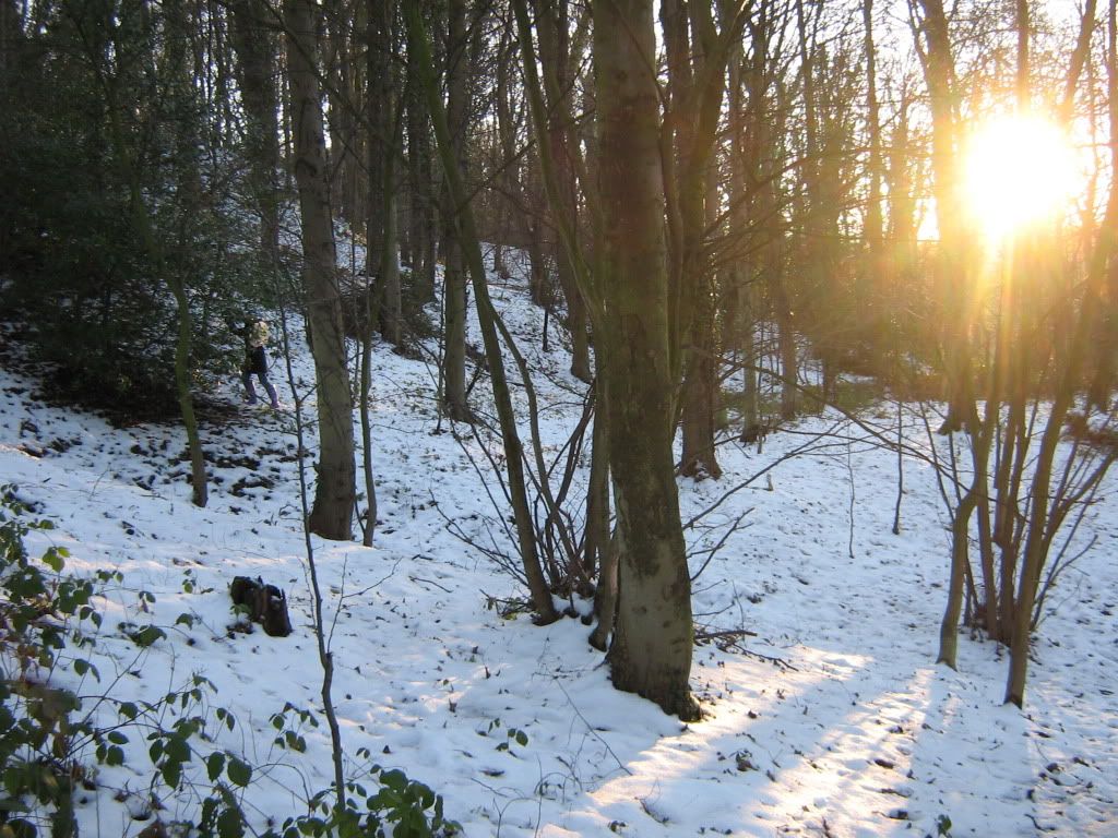 IMG_1861.jpg
