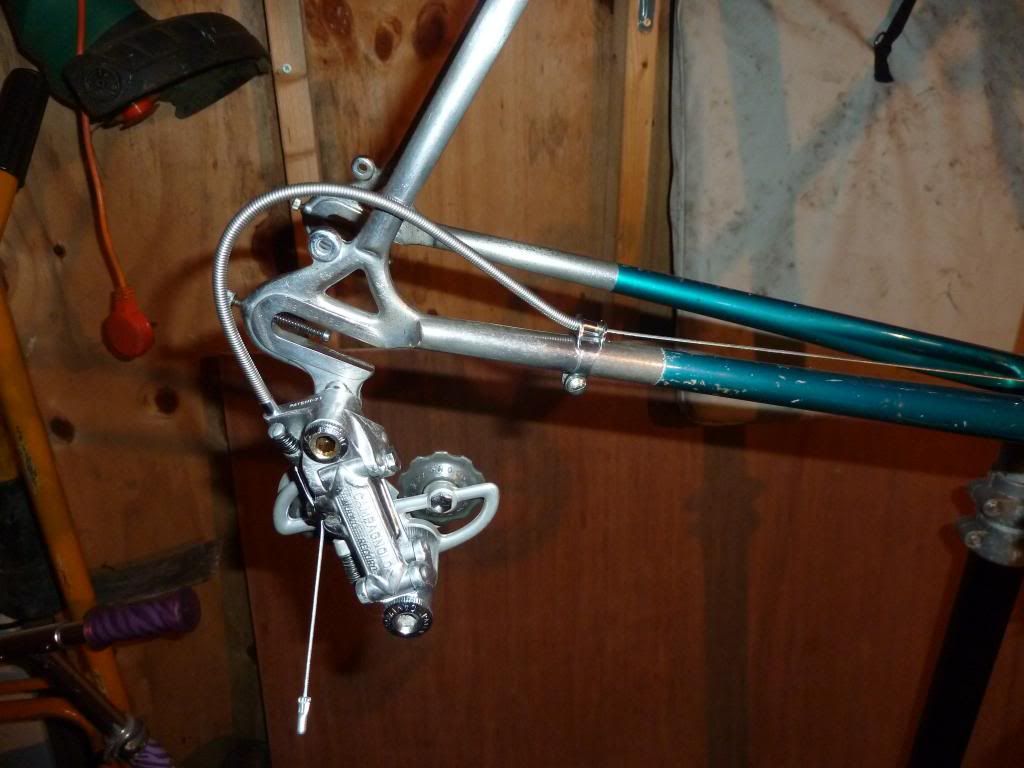 cinellimodelb002.jpg