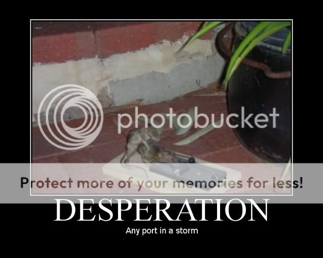 motivational-desperation.jpg