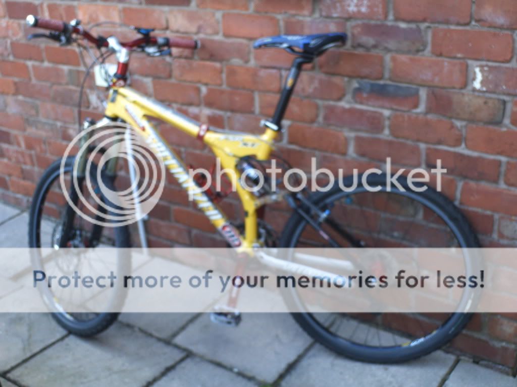 Picturesofbike001.jpg