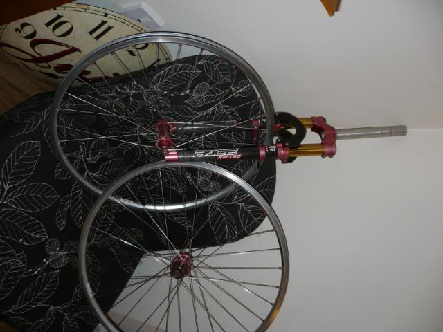 P1000988.jpg