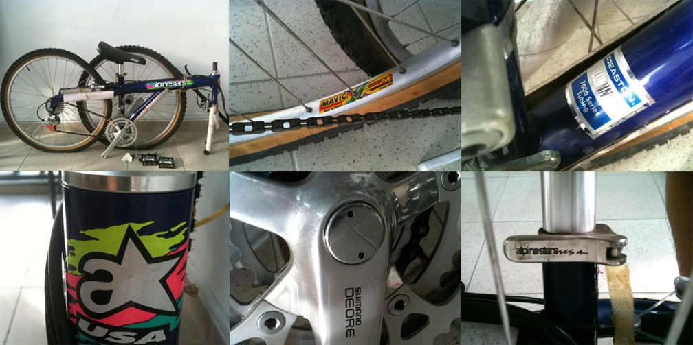 Alpinestars_BlueDX.jpg