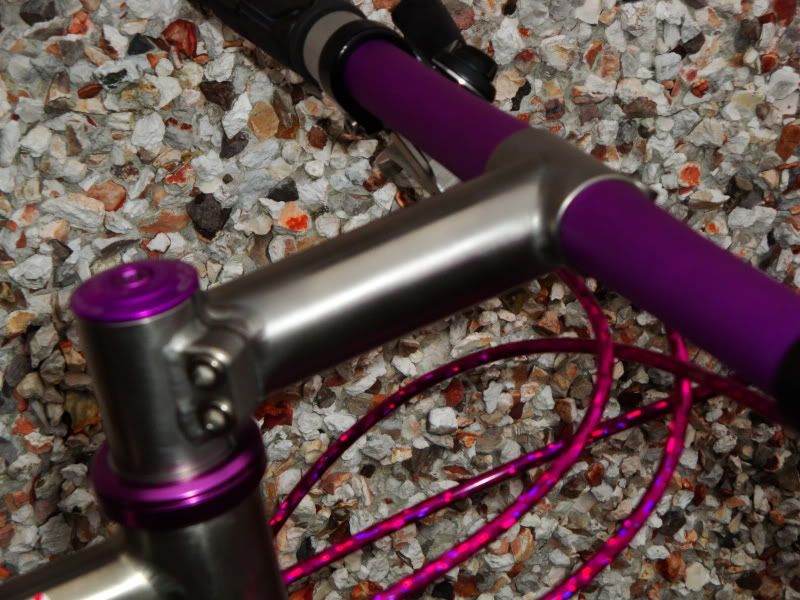 Litespeed001.jpg
