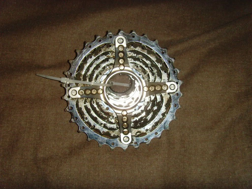 SNV34594.jpg