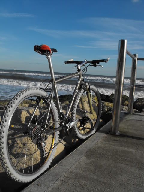 Dragonbeach011.jpg