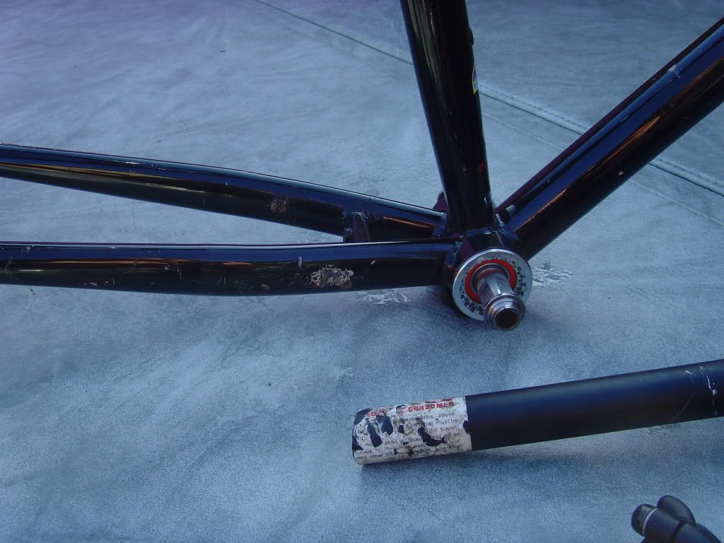 SNV36412.jpg