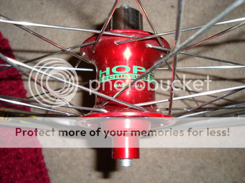 Adambike002-5.jpg