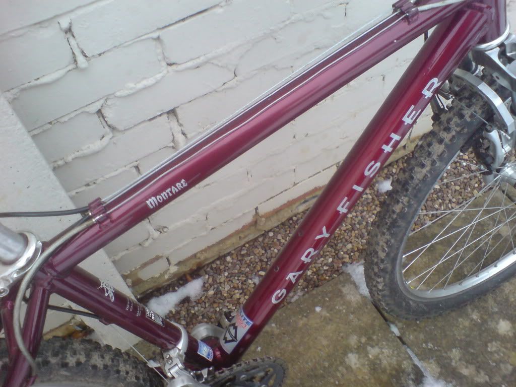 bikes039.jpg