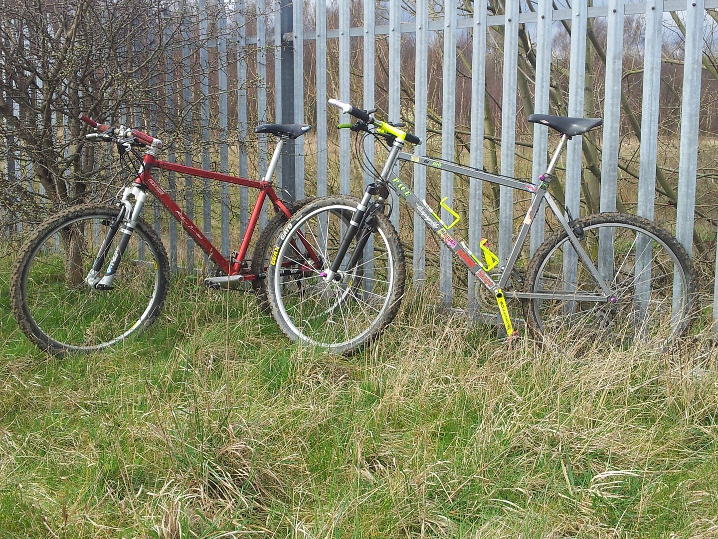 20120317_125628.jpg