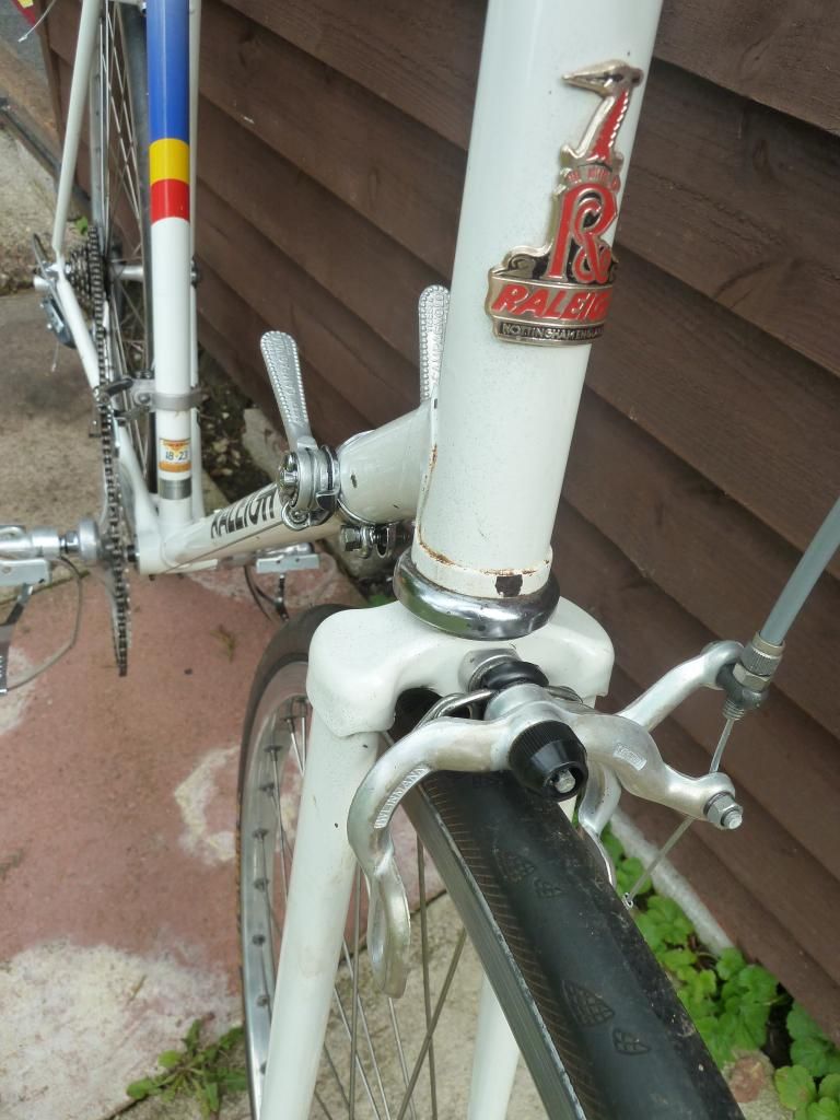 raleigh005.jpg
