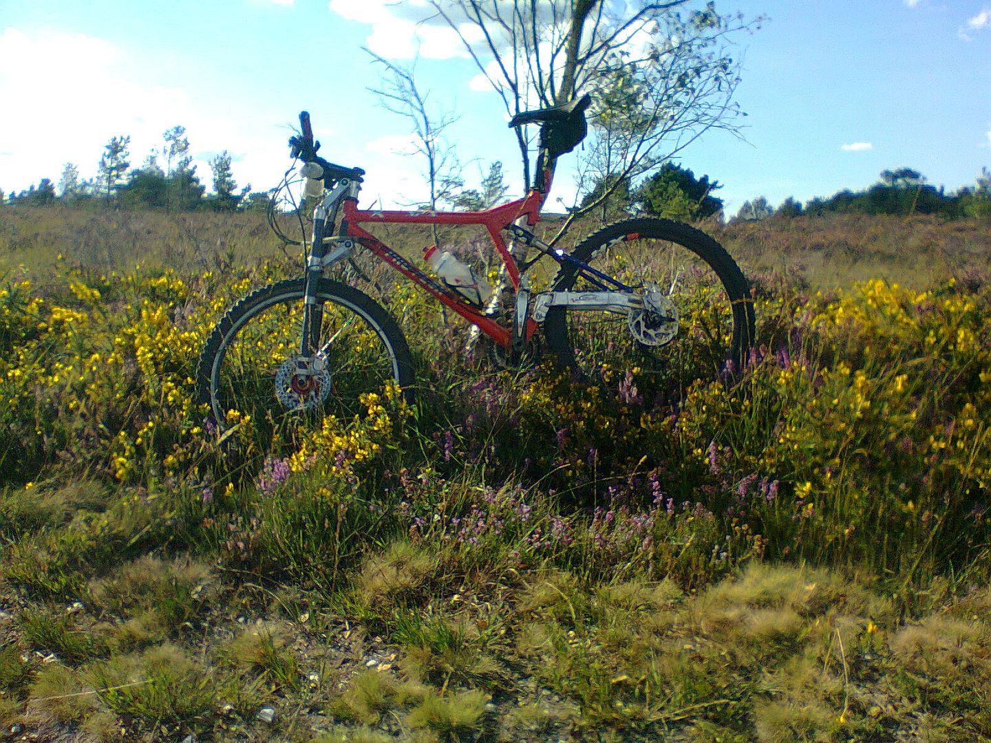 Photo0272_zpsk0rfpwrl.jpg