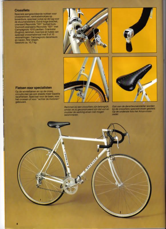 gazelle7.jpg