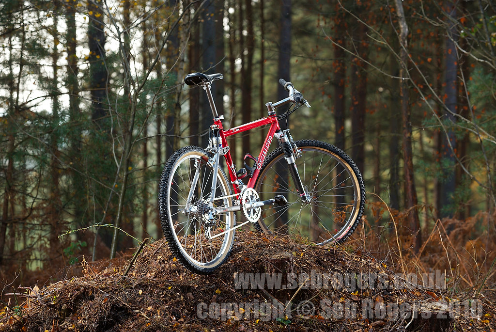 20110209SWorks1.jpg