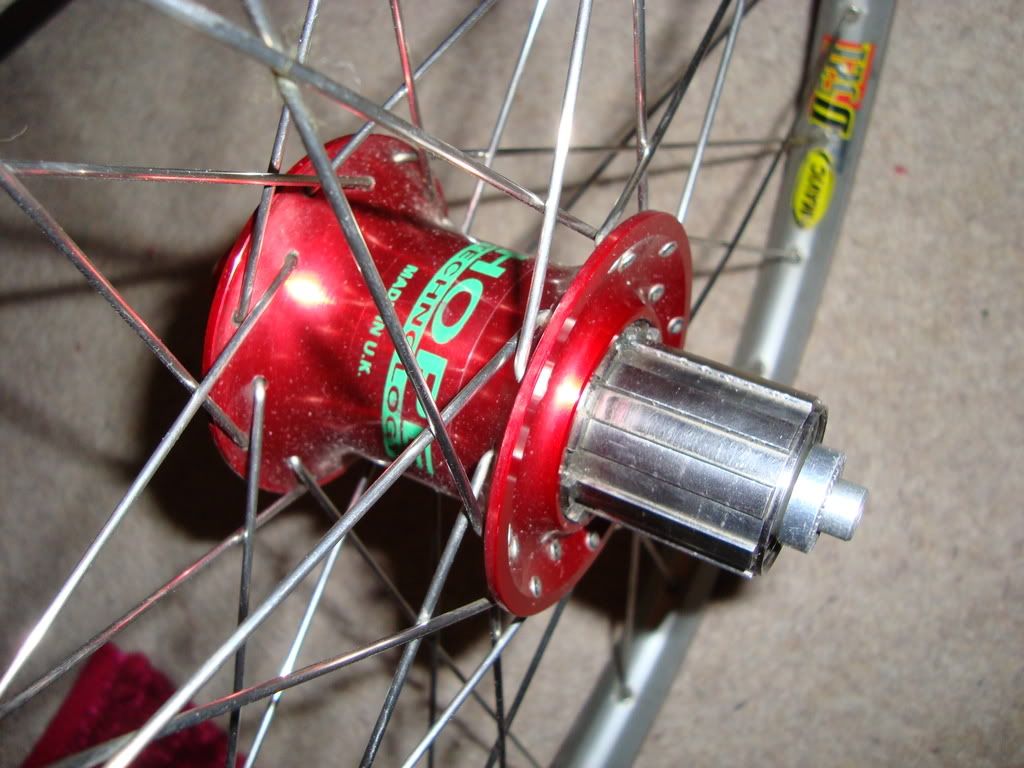 Adambike005-4.jpg