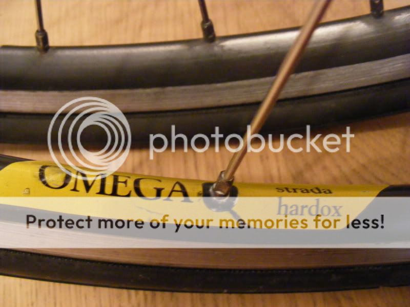 mavic006.jpg