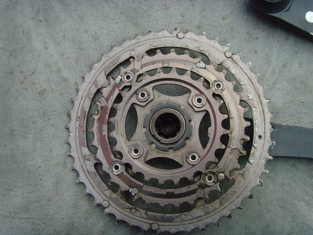 SNV36268.jpg