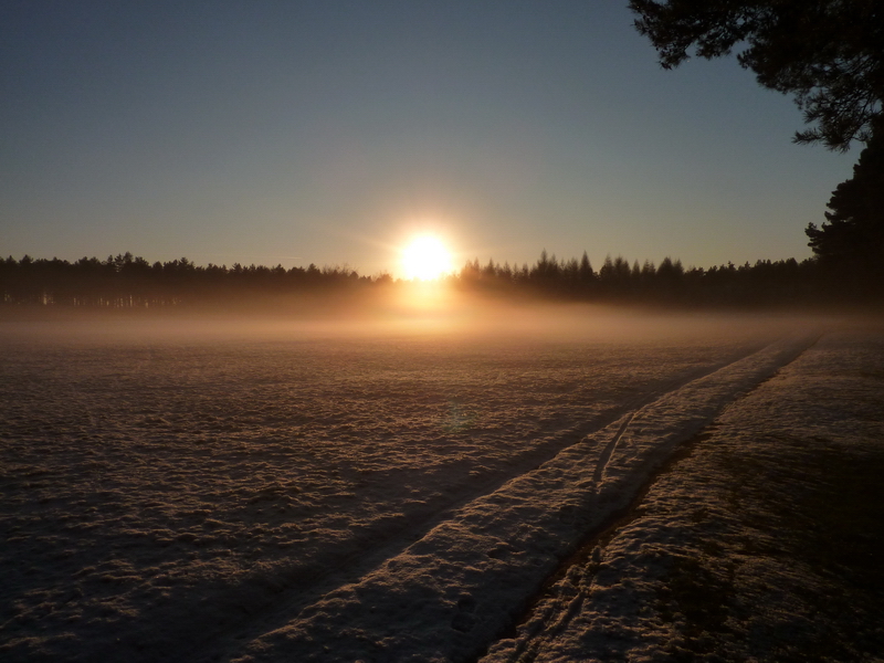 Thetford_Jan_2010_30.JPG