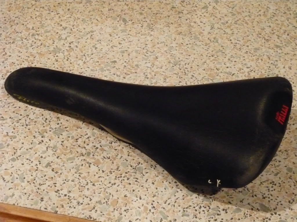 P1020038.jpg