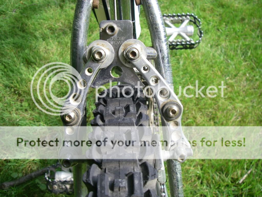 IMGP1157.jpg