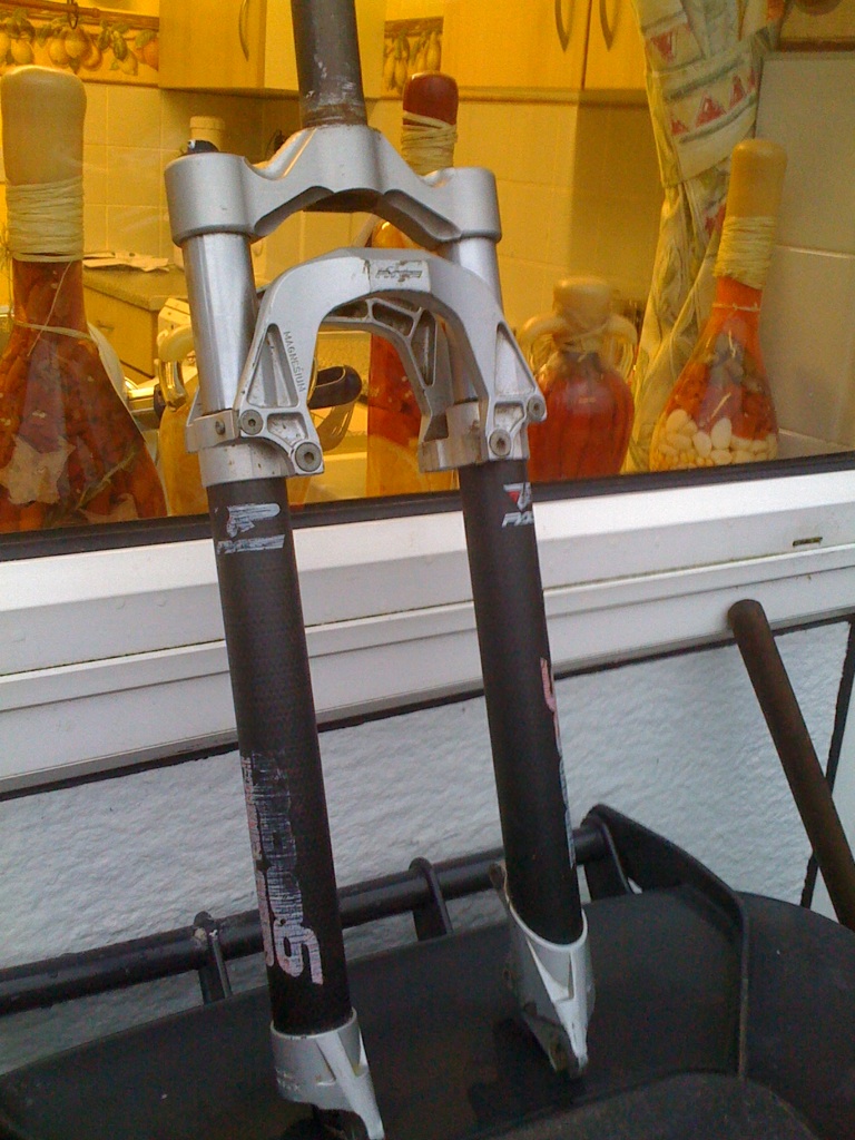 forks.jpg