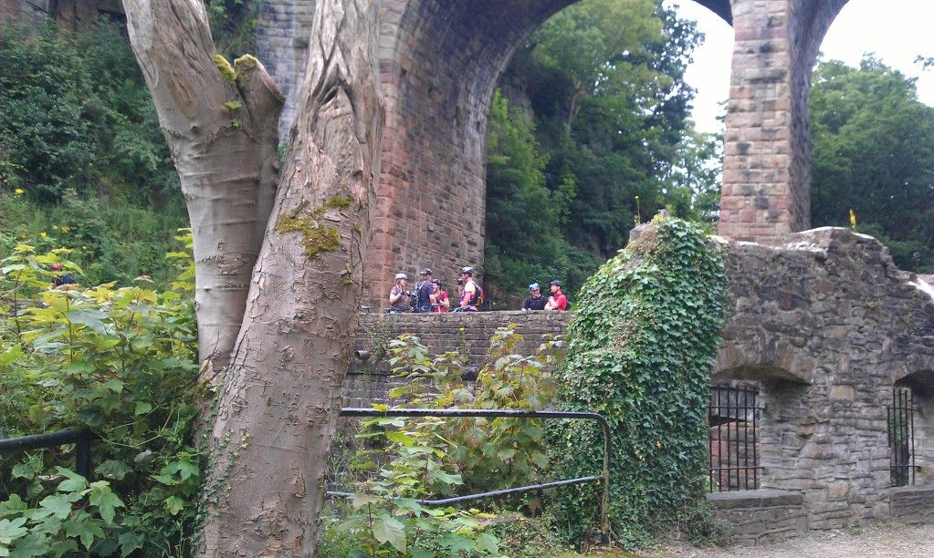 IMAG0114.jpg