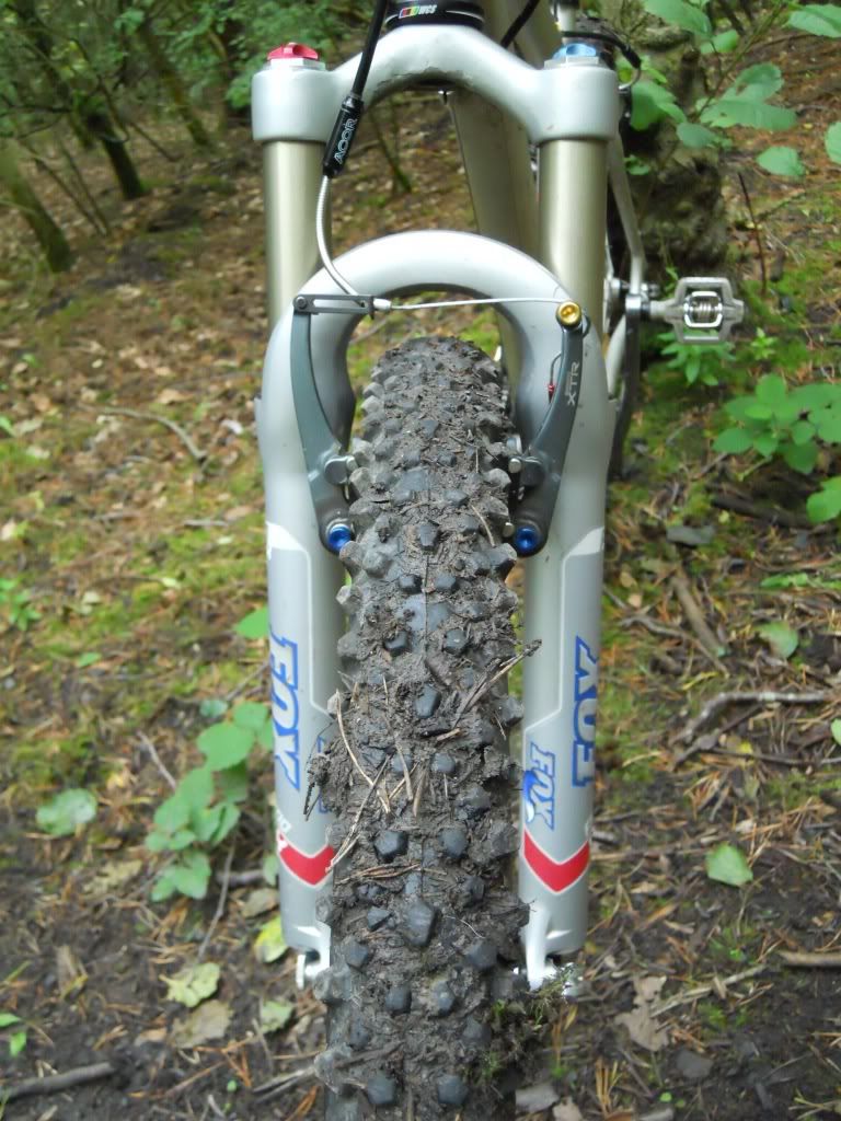 DSCN0385.jpg