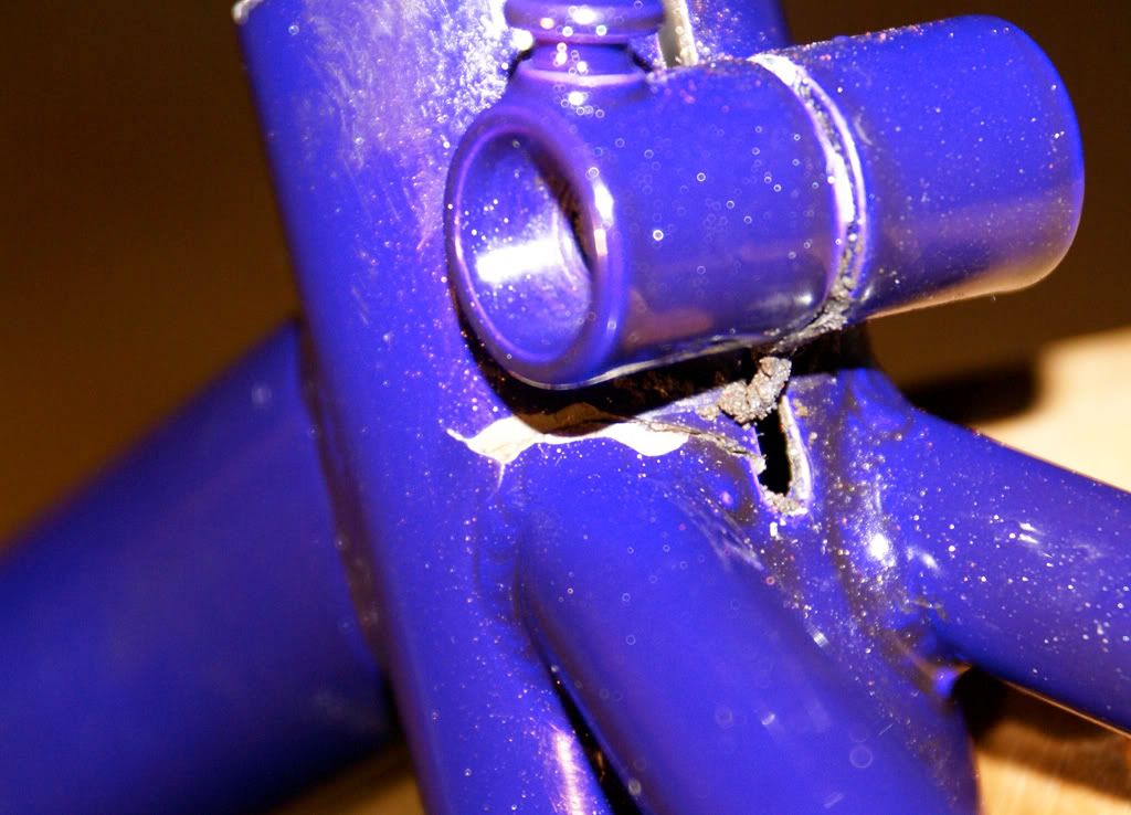 Serotta3.jpg