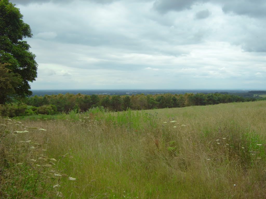 IMG00427.jpg
