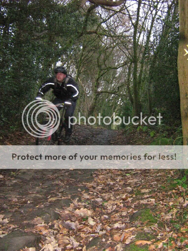 IMG_3309.jpg