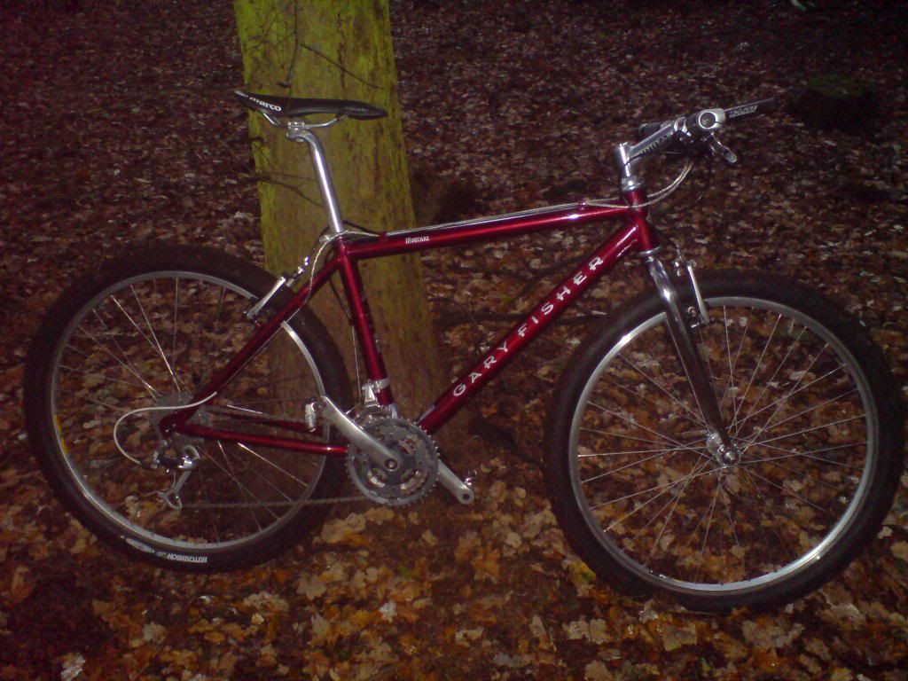 bikes002.jpg