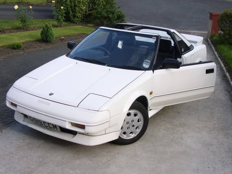 STA40805.jpg