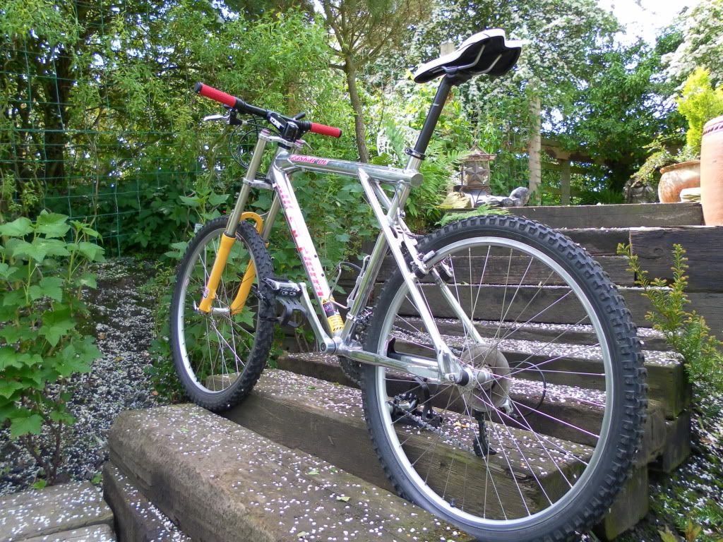 bikes017.jpg