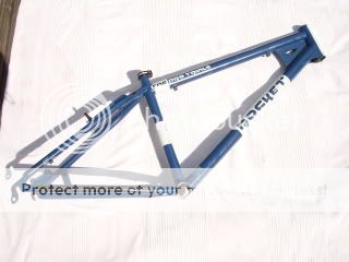 DSC07462.jpg